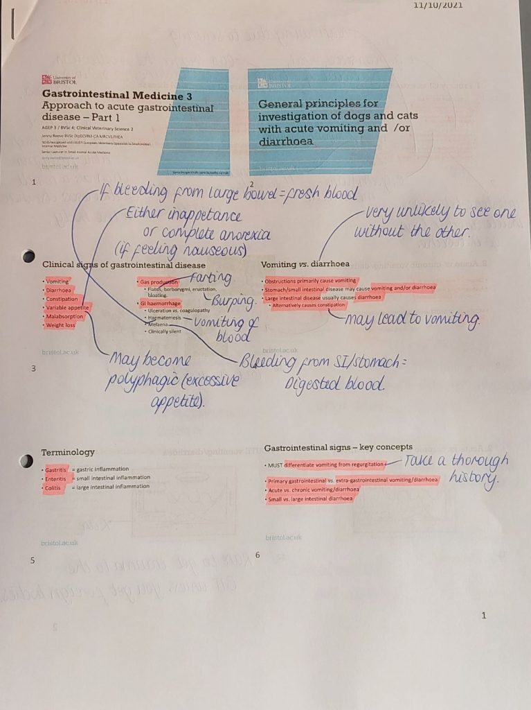 6 slides printed on an a4 sheet of paper, with highlighted sections and handwritten annotations
